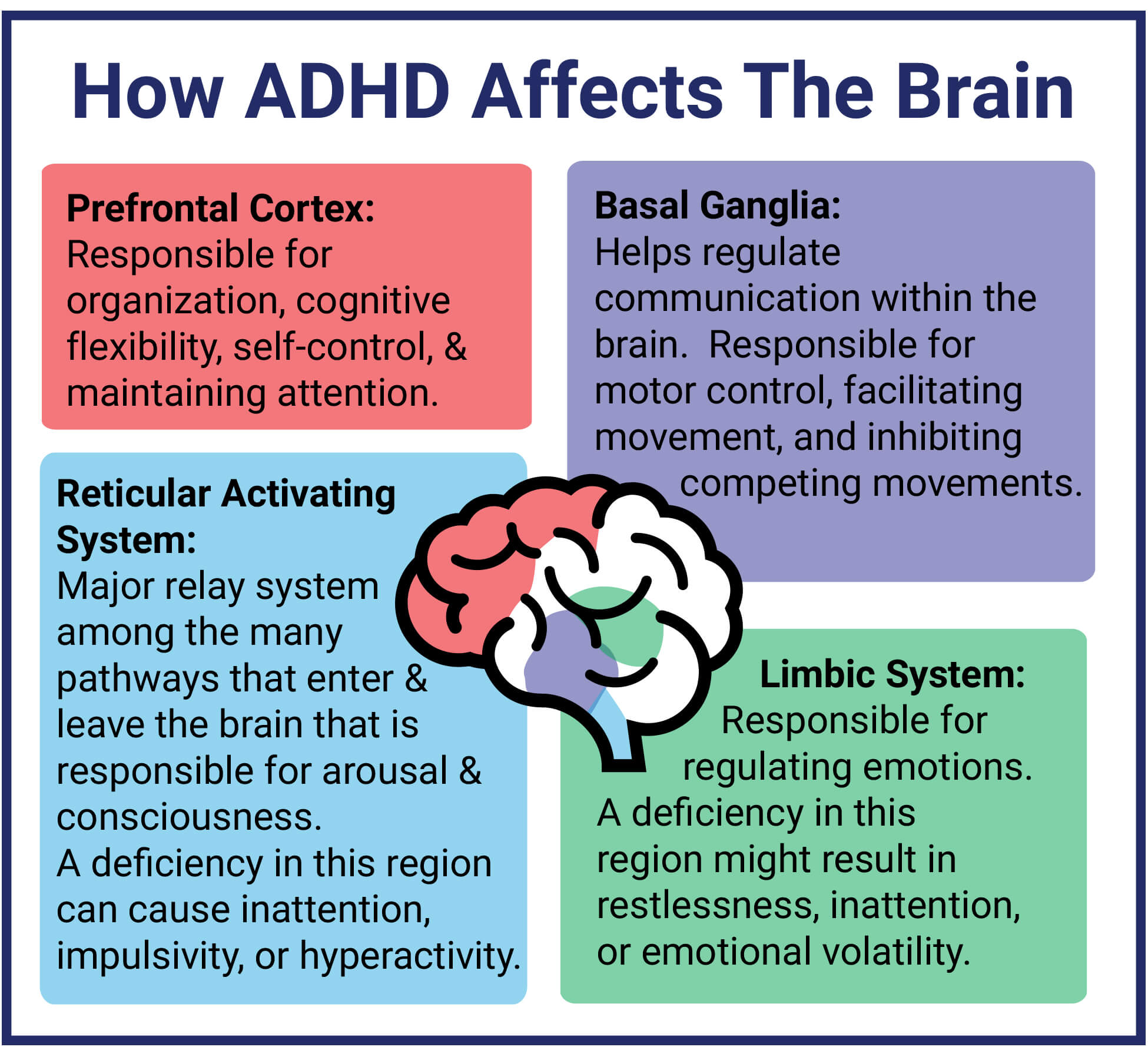 LifeScape Recovery Mental Health Services How-ADHD-Affects-The-Brain